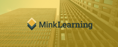 Mink Learning Private Equity Certificate